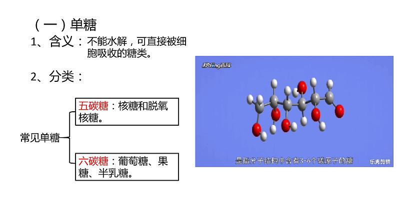 细胞中的糖类和脂质课件PPT06