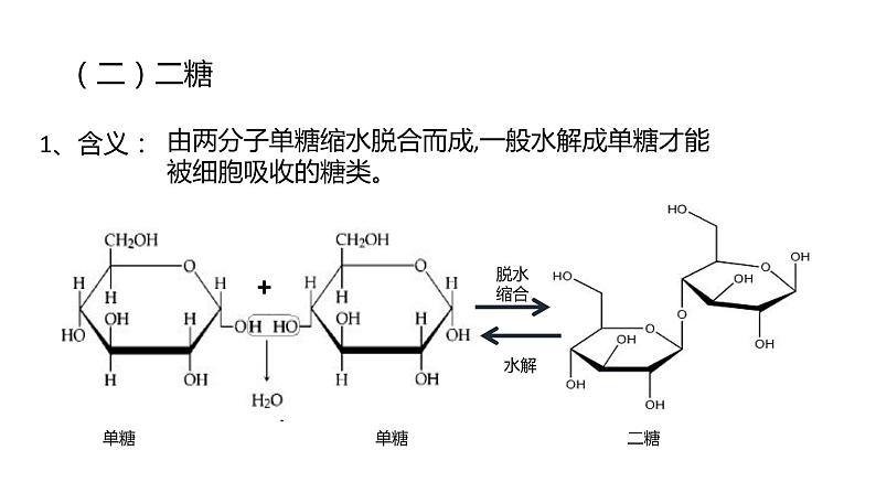 细胞中的糖类和脂质课件PPT08