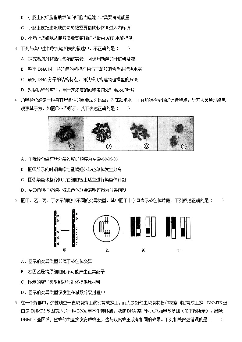 2021届北京门头沟区高三一模生物试卷及解析02