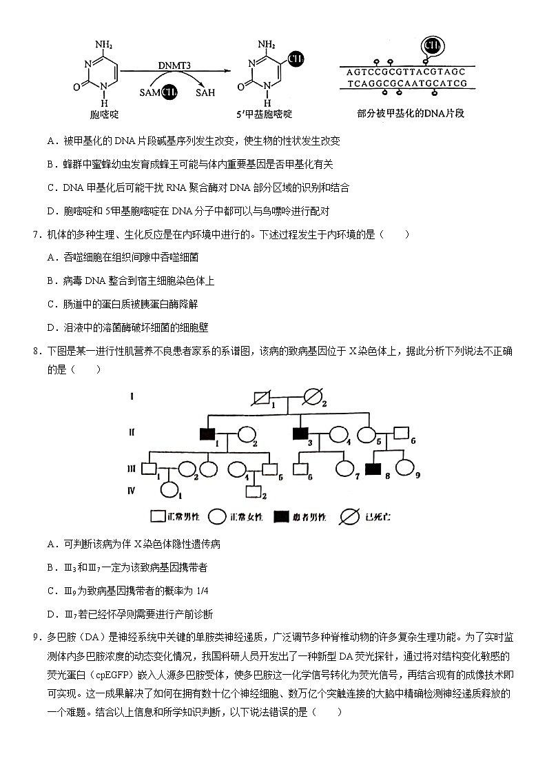2021届北京门头沟区高三一模生物试卷及解析03