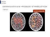 2021-2022学年高一下学期生物人教版必修二 2.3 伴性遗传课件