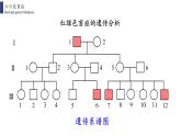 2021-2022学年高一下学期生物人教版必修二 2.3 伴性遗传课件