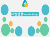 2021-2022学年高一下学期生物人教版必修二2.3伴性遗传课件