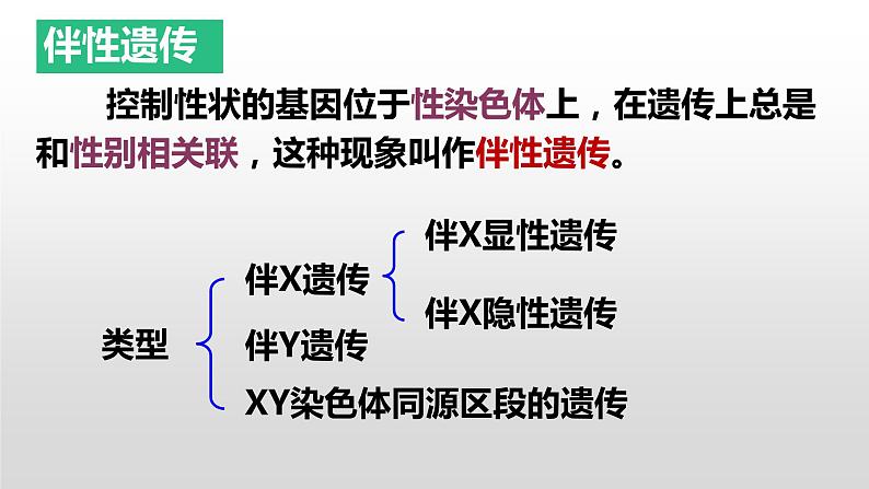 2021-2022学年高一下学期生物人教版必修二2.3伴性遗传课件第3页