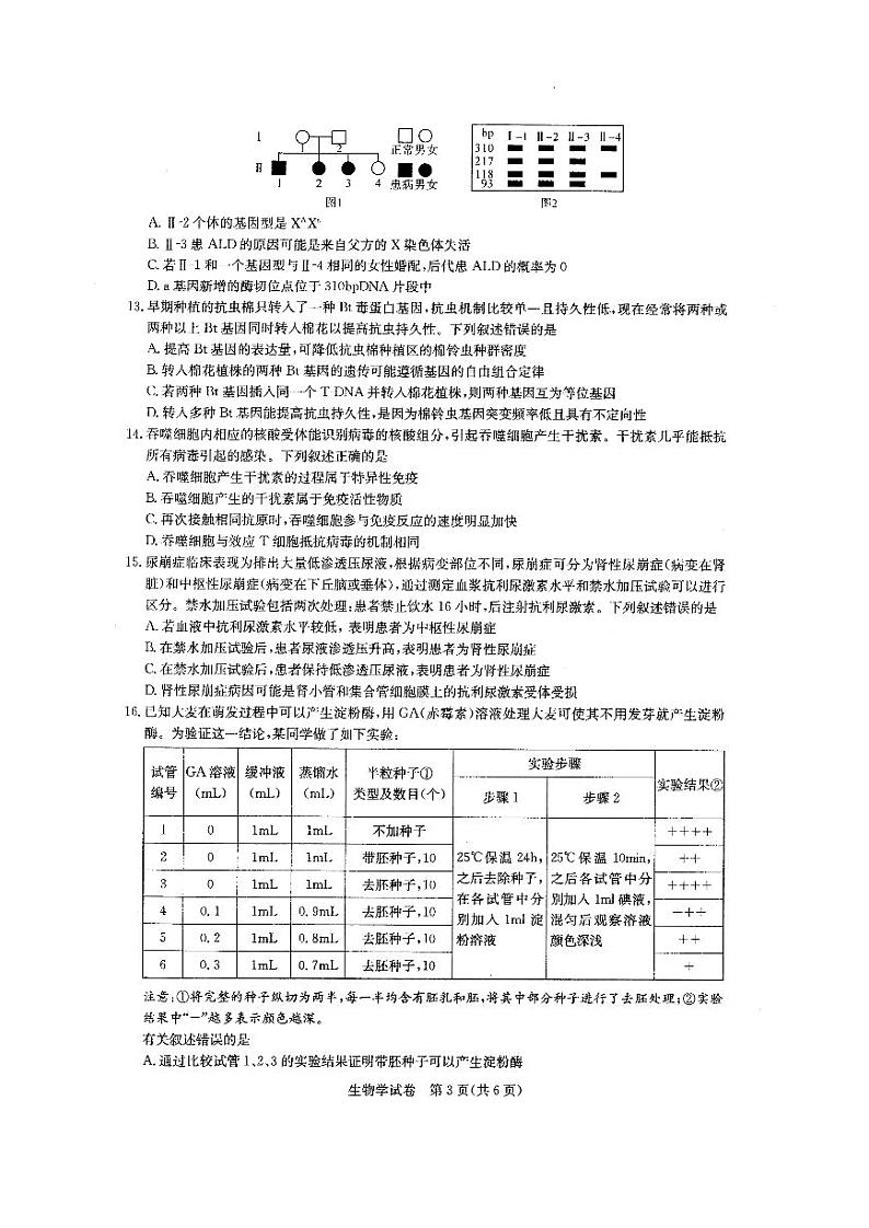 湖北省部分重点中学2022届高三第二次联考生物试卷第3页