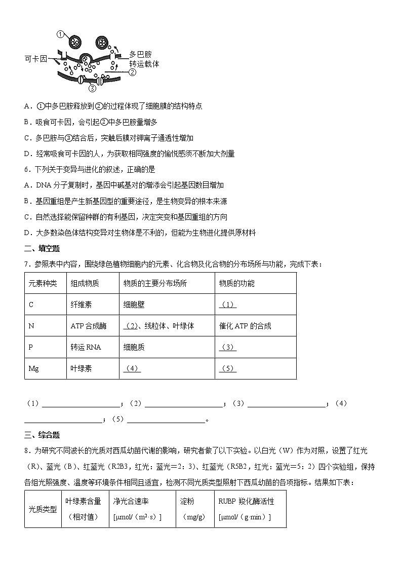 2022届安徽省马鞍山高三一模生物试卷及答案第2页