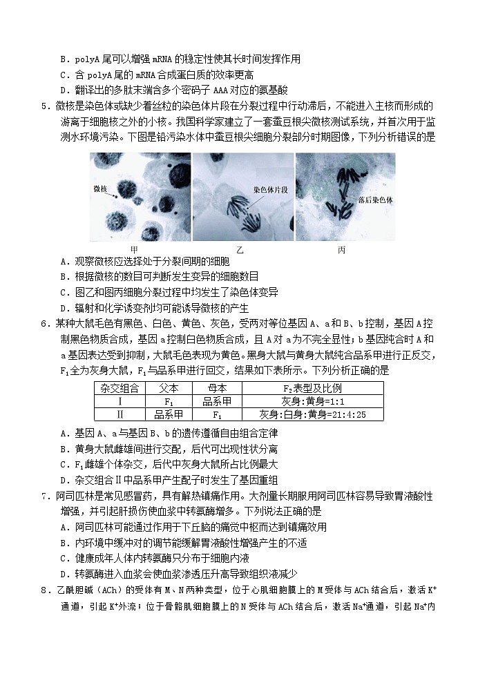 2022烟台、德州高三下学期3月一模考试生物试题含答案02