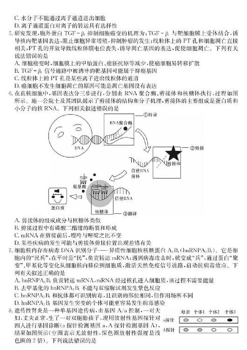 湖南省新高考教学教研联盟2022届高三下学期3月第一次联考生物试题（含答案）第2页