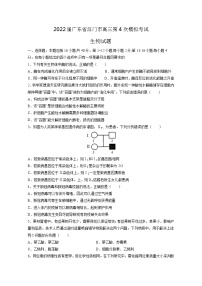 2022届广东省江门市高三模拟考试（四）生物试题含答案