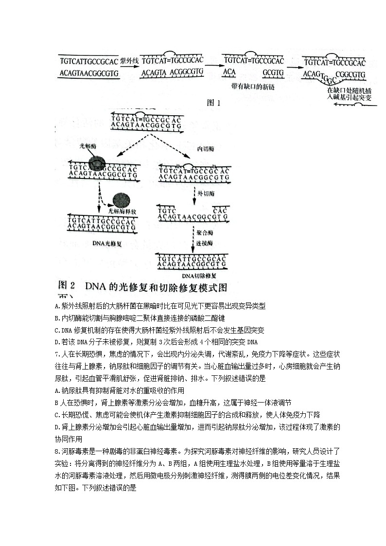 山东省济南市2022届高三下学期3月一模考试生物试题 含答案第3页