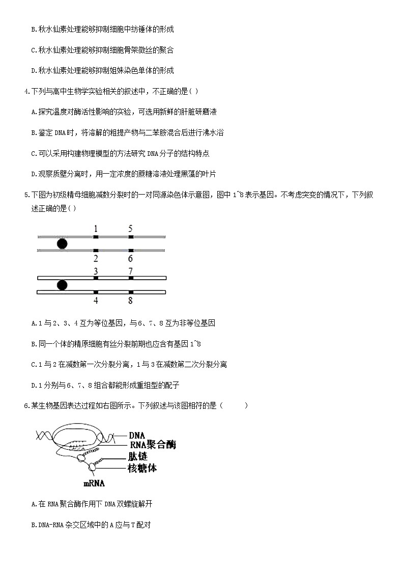 2020届北京门头沟区高三一模生物试卷及解析第2页