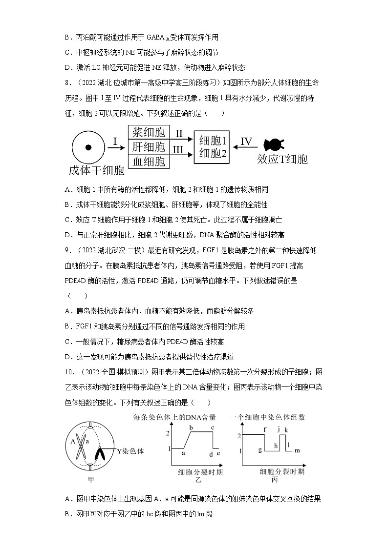 2022届高考生物各省模拟试题汇编卷 湖北专版第3页