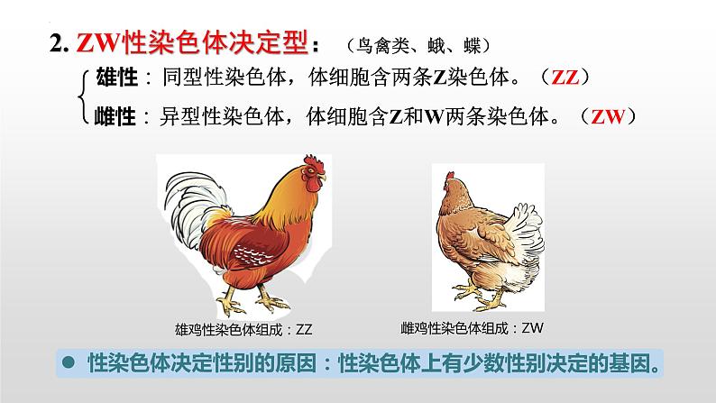 2021-2022学年高一下学期生物人教版必修二  2.3伴性遗传课件第8页