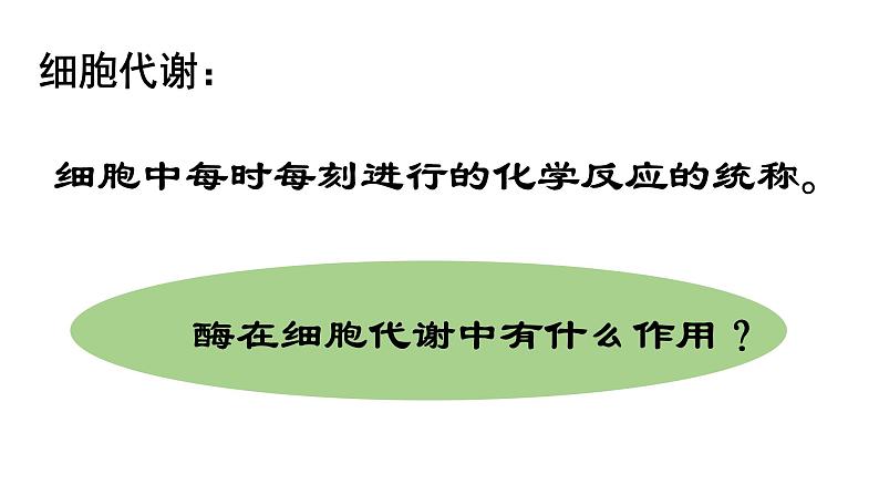 5.1 降低化学反应活化能的酶课件PPT05