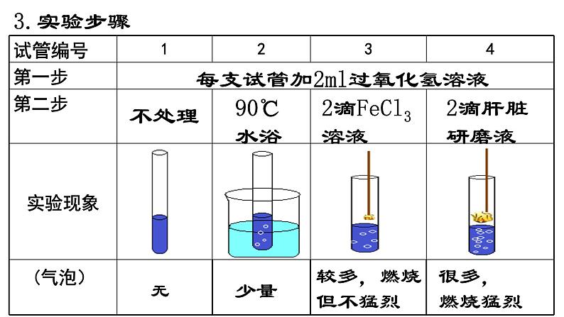 5.1 降低化学反应活化能的酶课件PPT08