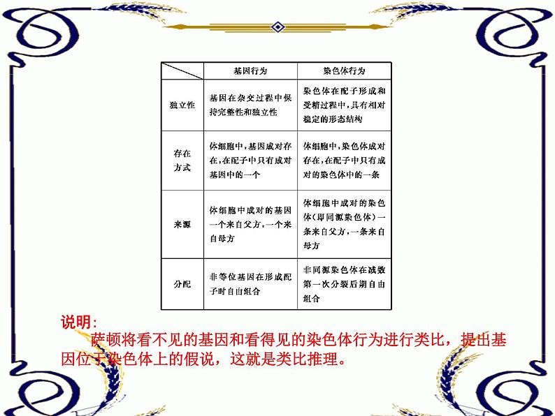 高中生物人教版必修2课件2.4 基因在染色体上（共13张PPT）第2页