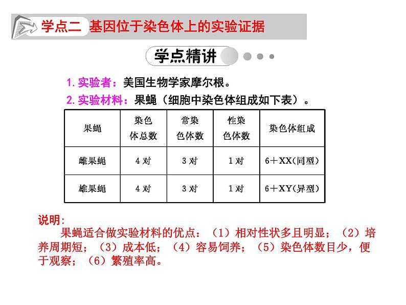 高中生物人教版必修2课件2.4 基因在染色体上（共13张PPT）第5页