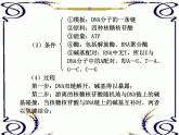 高中生物人教版必修2课件4.1 基因指导蛋白质的合成（一）（共17张PPT）