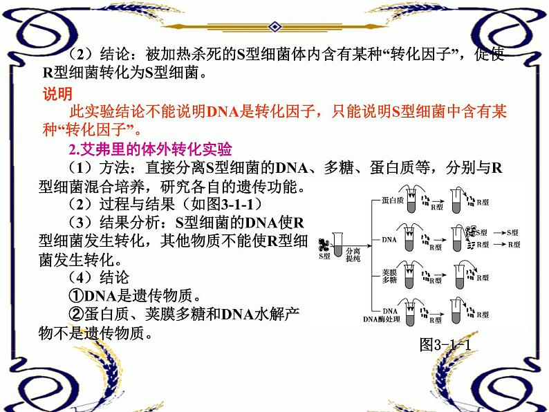 高中生物人教版必修2课件3.1 DNA是主要的遗传物质（共15张PPT）03