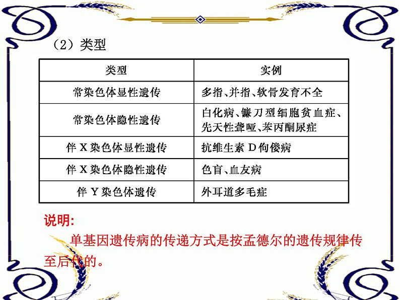 高中生物人教版必修2课件5.4 人类遗传病（一）（共14张PPT）第2页