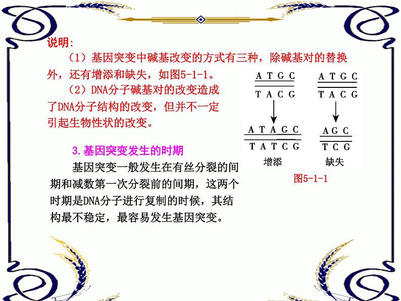 高中生物人教版必修2课件5.1 基因突变和基因重组（共17张PPT）第3页