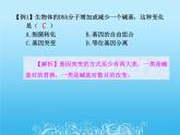 高中生物人教版必修2课件5.1 基因突变和基因重组（共17张PPT）