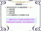 高中生物人教版必修2课件5.1 基因突变和基因重组（共17张PPT）