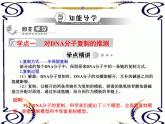 高中生物人教版必修2课件3.3 DNA的复制（共14张PPT）
