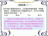 高中生物人教版必修2课件3.3 DNA的复制（共14张PPT）
