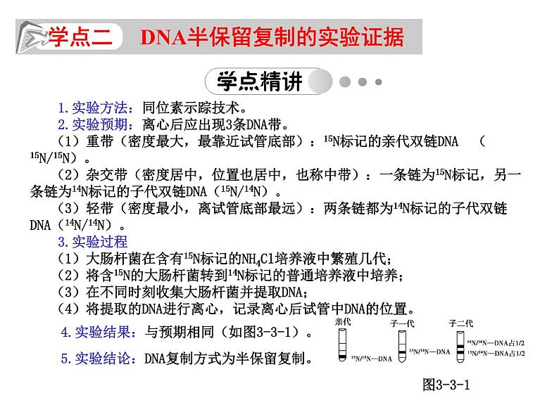 高中生物人教版必修2课件3.3 DNA的复制（共14张PPT）第4页