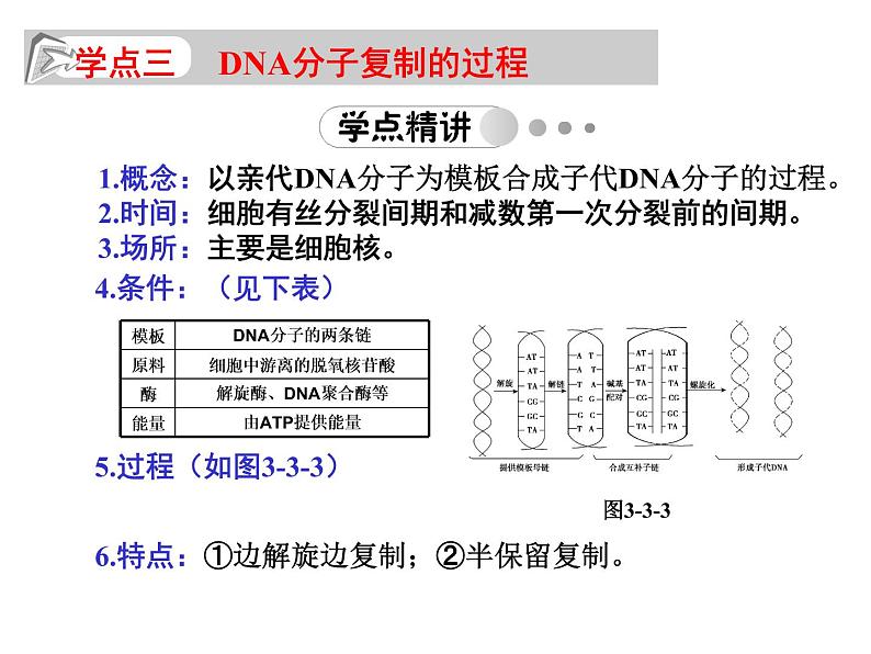 高中生物人教版必修2课件3.3 DNA的复制（共14张PPT）第7页