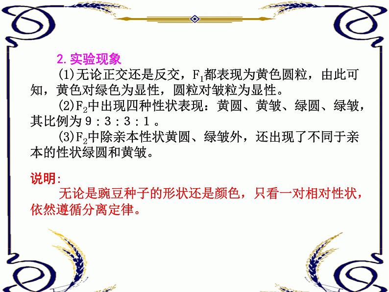 高中生物人教版必修2课件1.3 孟德尔的豌豆杂交实验（二）（共16张PPT）第2页