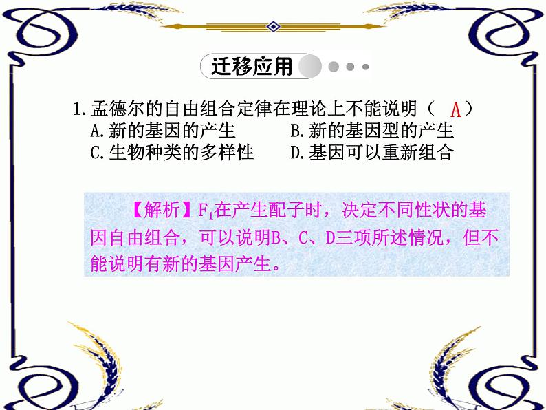 高中生物人教版必修2课件1.4 孟德尔的豌豆杂交实验（二）（共15张PPT）第3页