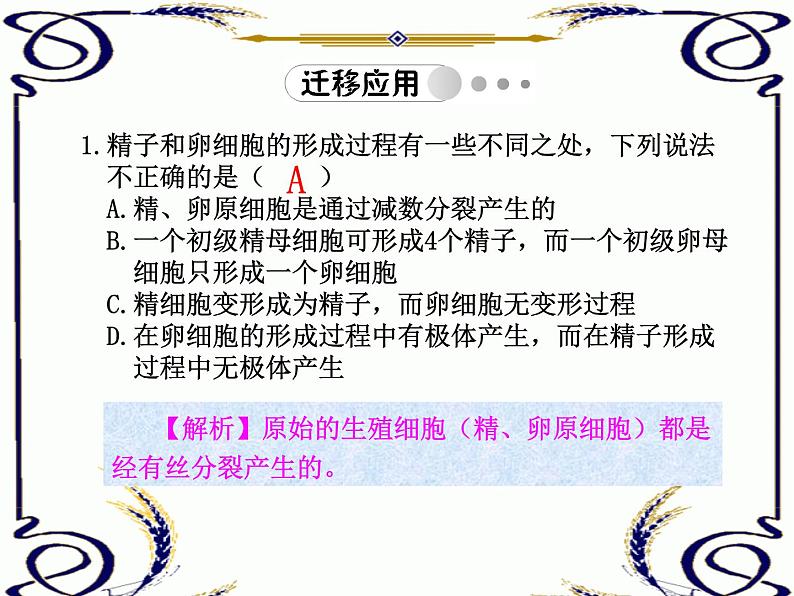 高中生物人教版必修2课件2.2 减数分裂（二）（共12张PPT）第3页