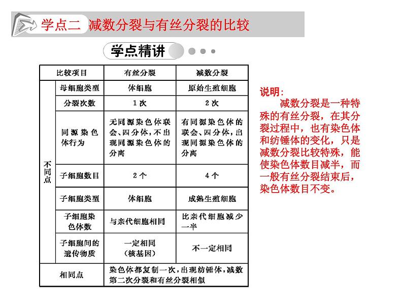 高中生物人教版必修2课件2.2 减数分裂（二）（共12张PPT）第4页