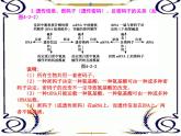 高中生物人教版必修2课件4.2 基因指导蛋白质的合成（二）（共15张PPT）