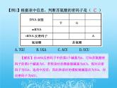 高中生物人教版必修2课件4.2 基因指导蛋白质的合成（二）（共15张PPT）