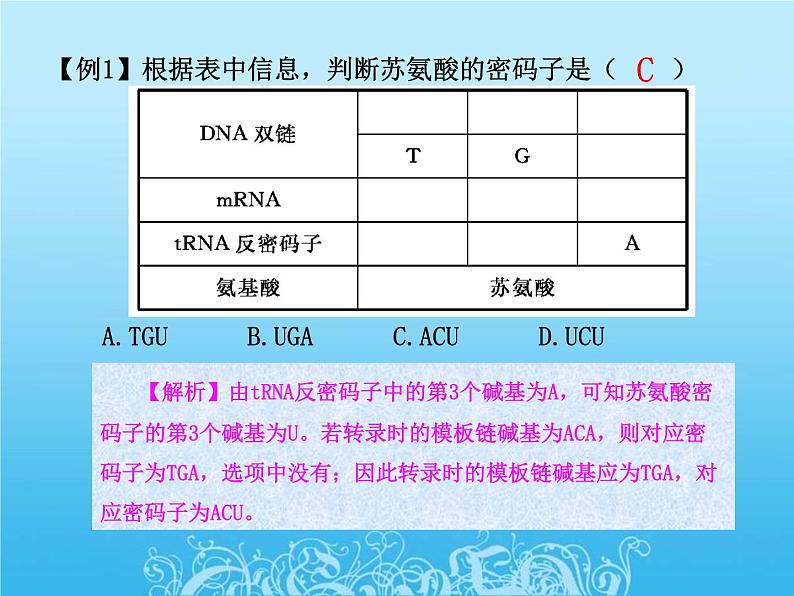 高中生物人教版必修2课件4.2 基因指导蛋白质的合成（二）（共15张PPT）第4页