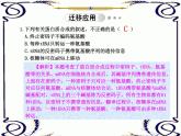 高中生物人教版必修2课件4.2 基因指导蛋白质的合成（二）（共15张PPT）