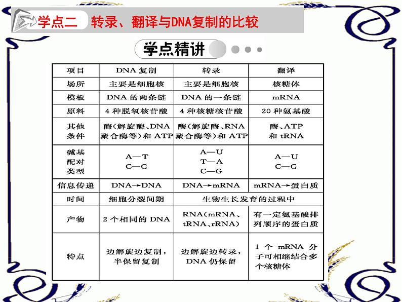 高中生物人教版必修2课件4.2 基因指导蛋白质的合成（二）（共15张PPT）第7页