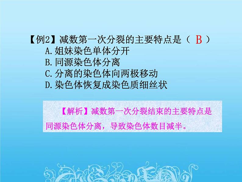 高中生物人教版必修2课件2.1 减数分裂（一）（共16张PPT）07