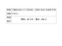 高中第3节 DNA的复制课堂教学课件ppt