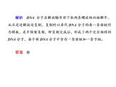 高中生物人教版必修二3-3DNA的复制课件PPT