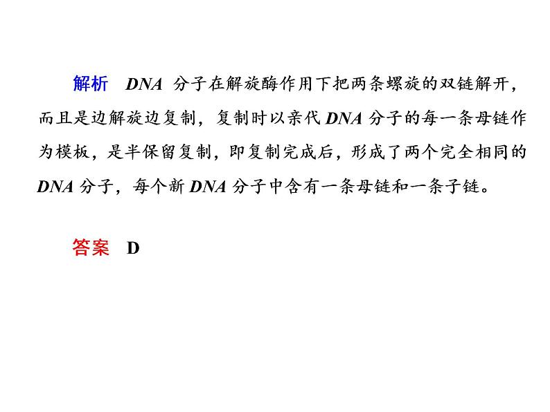 高中生物人教版必修二3-3DNA的复制课件PPT03