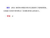 高中生物人教版必修二3-3DNA的复制课件PPT