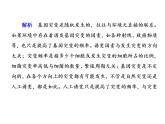 高中生物人教版必修二5-1基因突变和基因重组课件PPT