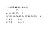高中生物人教版必修二4-1基因指导蛋白质的合成课件PPT