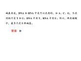 高中生物人教版必修二4-1基因指导蛋白质的合成课件PPT