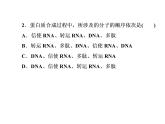 高中生物人教版必修二4-1基因指导蛋白质的合成课件PPT