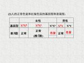 生物同步配套课件（人教版必修2）第2章第3节伴性遗传